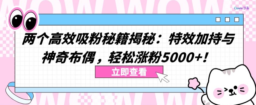 两个高效吸粉秘籍揭秘:特效加持与神奇布偶,轻松涨粉5000+【揭秘】-知乎者也