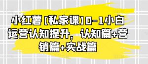 小红薯【私家课】0-1小白运营认知提升,认知篇+营销篇+实战篇-知乎者也