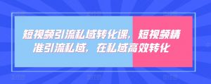 短视频引流私域转化课,短视频精准引流私域,在私域高效转化-知乎者也