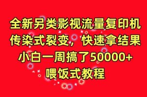 全新另类影视流量复印机,传染式裂变,快速拿结果,小白一周搞了50000+,喂饭式教程【揭秘】-知乎者也