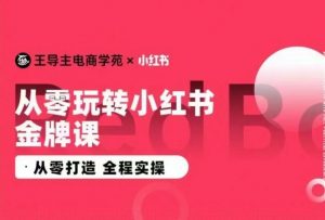 王导主·小红书电商运营实操课,从零打造 全程实操-知乎者也