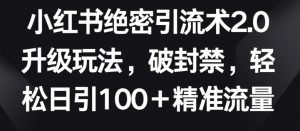 小红书绝密引流术2.0升级玩法,破封禁,轻松日引100+精准流量【揭秘】-知乎者也