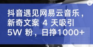 抖音遇见网易云音乐，新奇文案 4 天吸引 5W 粉，日挣1000+【揭秘】-知乎者也
