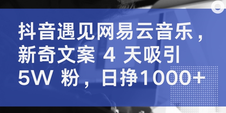 抖音遇见网易云音乐,新奇文案 4 天吸引 5W 粉,日挣1000+【揭秘】-知乎者也