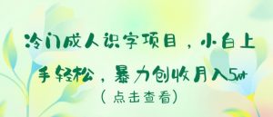 冷门成人识字项目，小白上手轻松，暴力创收月入5w+【揭秘】-知乎者也