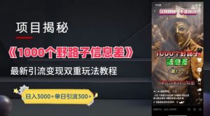 一千个野路子信息差最新玩法教程-变现+引流的玩法具体拆解【揭秘】-知乎者也