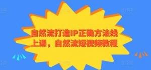自然流打造IP正确方法线上课,自然流短视频教程-知乎者也