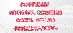 小众赛道掘金，视频制作简单，轻松引爆流量，条条原创，多平台发布【揭秘】-知乎者也