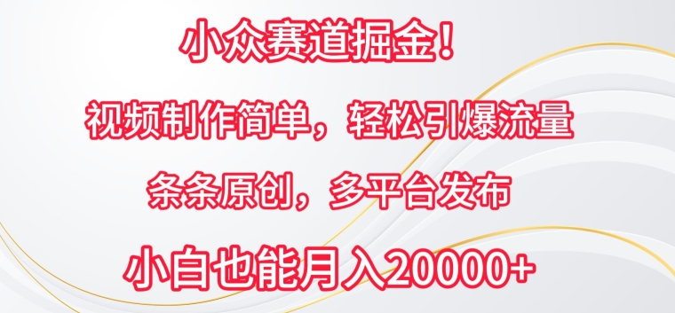 小众赛道掘金,视频制作简单,轻松引爆流量,条条原创,多平台发布【揭秘】-知乎者也