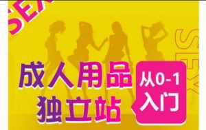成人用品独立站从0-1入门,成品独立站运营全流程教学,七大好卖成品独立站推荐-知乎者也