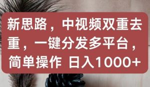 新思路，中视频双重去重，一键分发多平台，简单操作，日入1000+【揭秘】-知乎者也