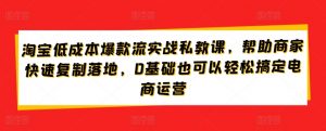 淘宝低成本爆款流实战私教课,帮助商家快速复制落地,0基础也可以轻松搞定电商运营-知乎者也