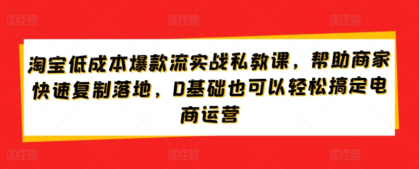 淘宝低成本爆款流实战私教课,帮助商家快速复制落地,0基础也可以轻松搞定电商运营-知乎者也
