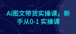 Ai图文带货实操课,新手从0-1 实操课-知乎者也