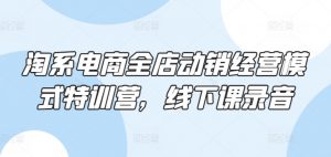 淘系电商全店动销经营模式特训营,线下课录音-知乎者也