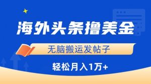 海外头条撸美金,无脑搬运发帖子,月入1万+,小白轻松掌握【揭秘】-知乎者也