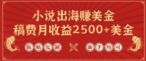 小说出海赚美金,稿费月收益2500+美金,仅需chatgpt粘贴复制,新手也能玩转【揭秘】-知乎者也