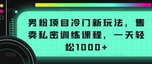 男粉项目冷门新玩法，售卖私密训练课程，一天轻松1000+【揭秘】-知乎者也