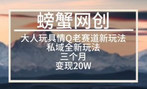 大人玩具情Q用品赛道私域全新玩法,三个月变现20W,老项目新思路【揭秘】-知乎者也