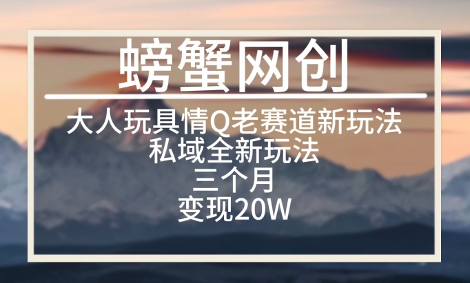 大人玩具情Q用品赛道私域全新玩法,三个月变现20W,老项目新思路【揭秘】-知乎者也