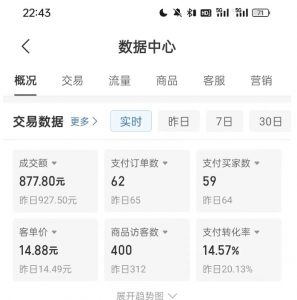 拼多多虚拟U盘电商红利项目:月赚2万+,新手小白也能玩-知乎者也