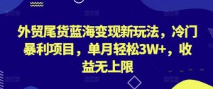 外贸尾货蓝海变现新玩法，冷门暴利项目，单月轻松3W+，收益无上限【揭秘】-知乎者也
