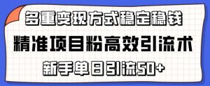 精准项目粉高效引流术，新手单日引流50+，多重变现方式稳定赚钱【揭秘】-知乎者也