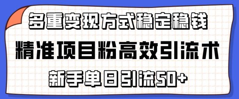 精准项目粉高效引流术,新手单日引流50+,多重变现方式稳定赚钱【揭秘】-知乎者也