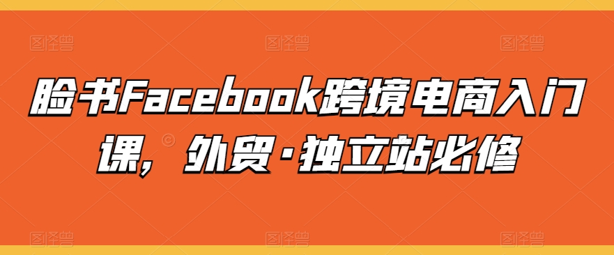 脸书Facebook跨境电商入门课,外贸·独立站必修-知乎者也
