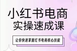 小红书电商实操速成课,让你快速掌握红书电商核心技能-知乎者也