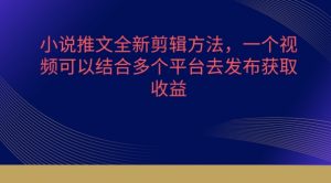 小说推文全新剪辑方法，一个视频可以结合多个平台去发布获取【揭秘】-知乎者也
