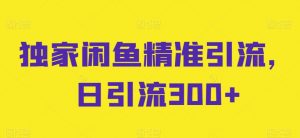 独家闲鱼精准引流，日引流300+【揭秘】-知乎者也