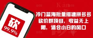 冷门蓝海批量搭建拼多多砍价群项目，收益无上限，适合小白的风口【揭秘】-知乎者也
