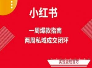 爆款小红书免费流量体系课程(两周变现),小红书电商教程-知乎者也
