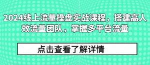 2024线上流量操盘实战课程,搭建高人效流量团队,掌握多平台流量-知乎者也