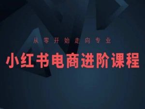 从零开始走向专业,小红书电商进阶课程-知乎者也