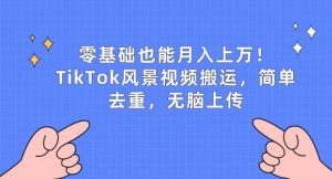 零基础也能月入上w,TikTok风景视频搬运,简单去重,无脑上传【揭秘】-知乎者也