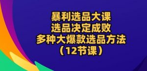 暴利选品大课:选品决定成败,教你多种大爆款选品方法(12节课)-知乎者也