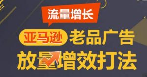 亚马逊流量增长-老品广告放量增效打法,循序渐进,打造更多TOP listing-知乎者也