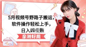 5月视频号野路子搬运，软件操作轻松上手，日入三位数【揭秘】-知乎者也