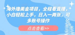 海外撸美金项目，全程看直播，小白轻松上手，日入一两张，可多账号操作【揭秘】-知乎者也