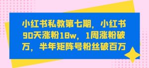 小红书私教第七期,小红书90天涨粉18w,1周涨粉破万,半年矩阵号粉丝破百万-知乎者也