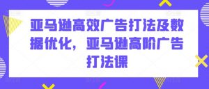 亚马逊高效广告打法及数据优化,亚马逊高阶广告打法课-知乎者也