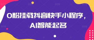 0粉挂载抖音快手小程序，AI智能起名-知乎者也