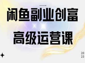 闲鱼电商运营高级课程，一部手机学会闲鱼开店赚钱-知乎者也