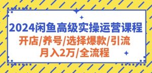 2024闲鱼高级实操运营课程:开店/养号/选择爆款/引流/月入2万/全流程-知乎者也