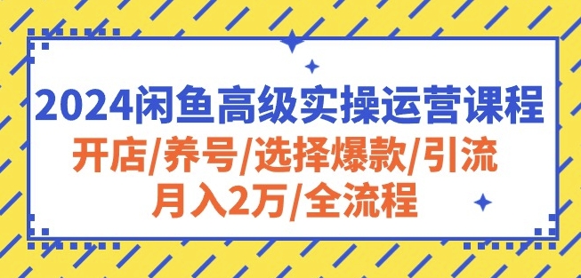 2024闲鱼高级实操运营课程:开店/养号/选择爆款/引流/月入2万/全流程-知乎者也