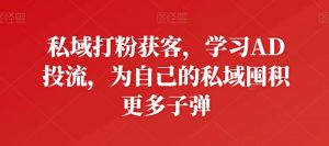私域打粉获客,学习AD投流,为自己的私域囤积更多子弹-知乎者也
