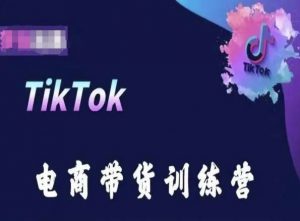 TikTok电商带货训练营，跟随时代潮流，跨境掘金-知乎者也