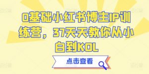 0基础小红书博主IP训练营,37天天教你从小白到KOL-知乎者也
